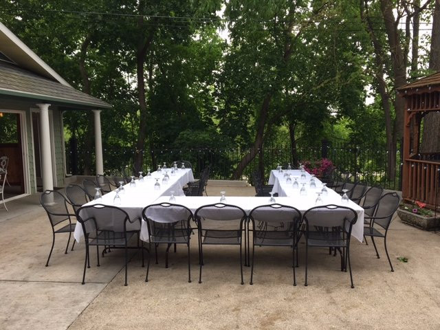 The Ginkgo Tree主图