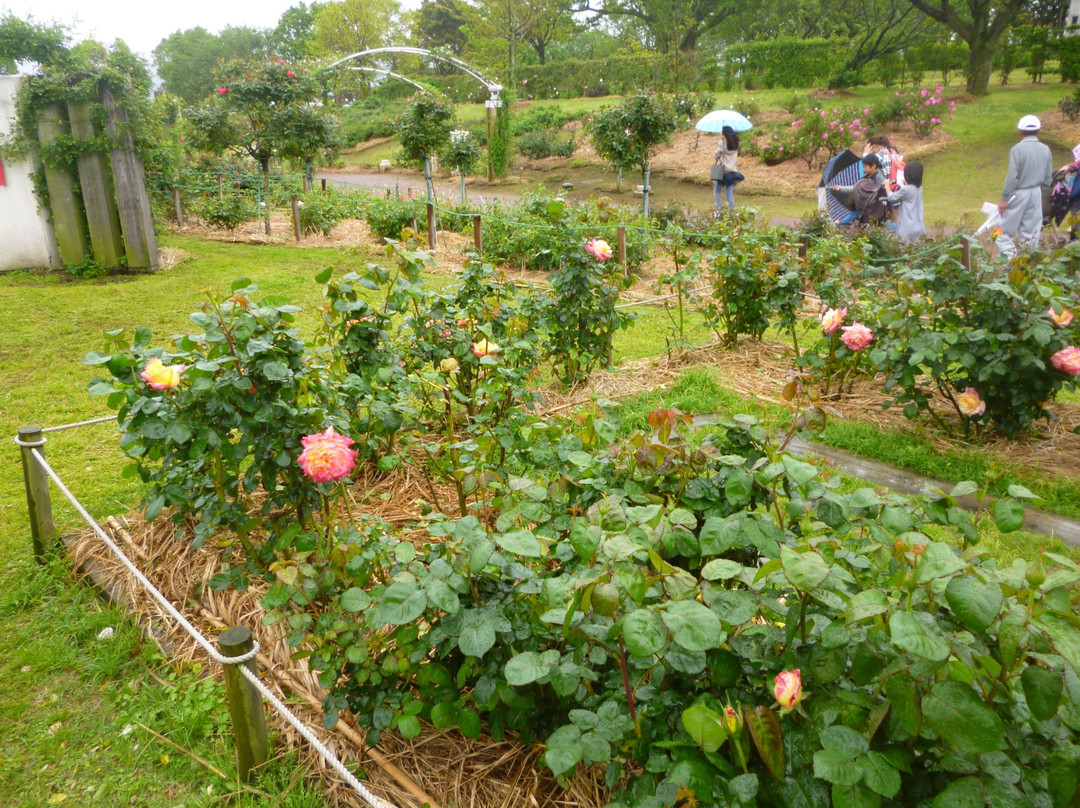 Kanoya Rose Garden-鹿屋市必去景点