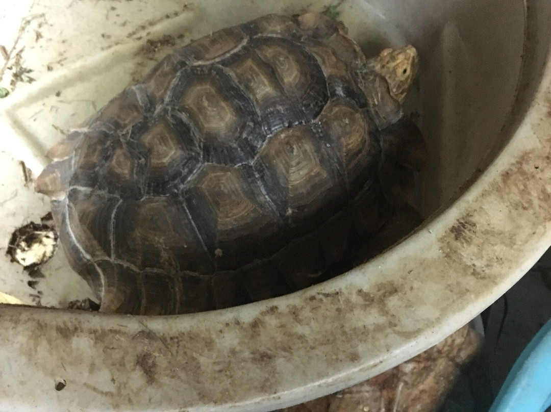 Snake World-Berryville必去景点