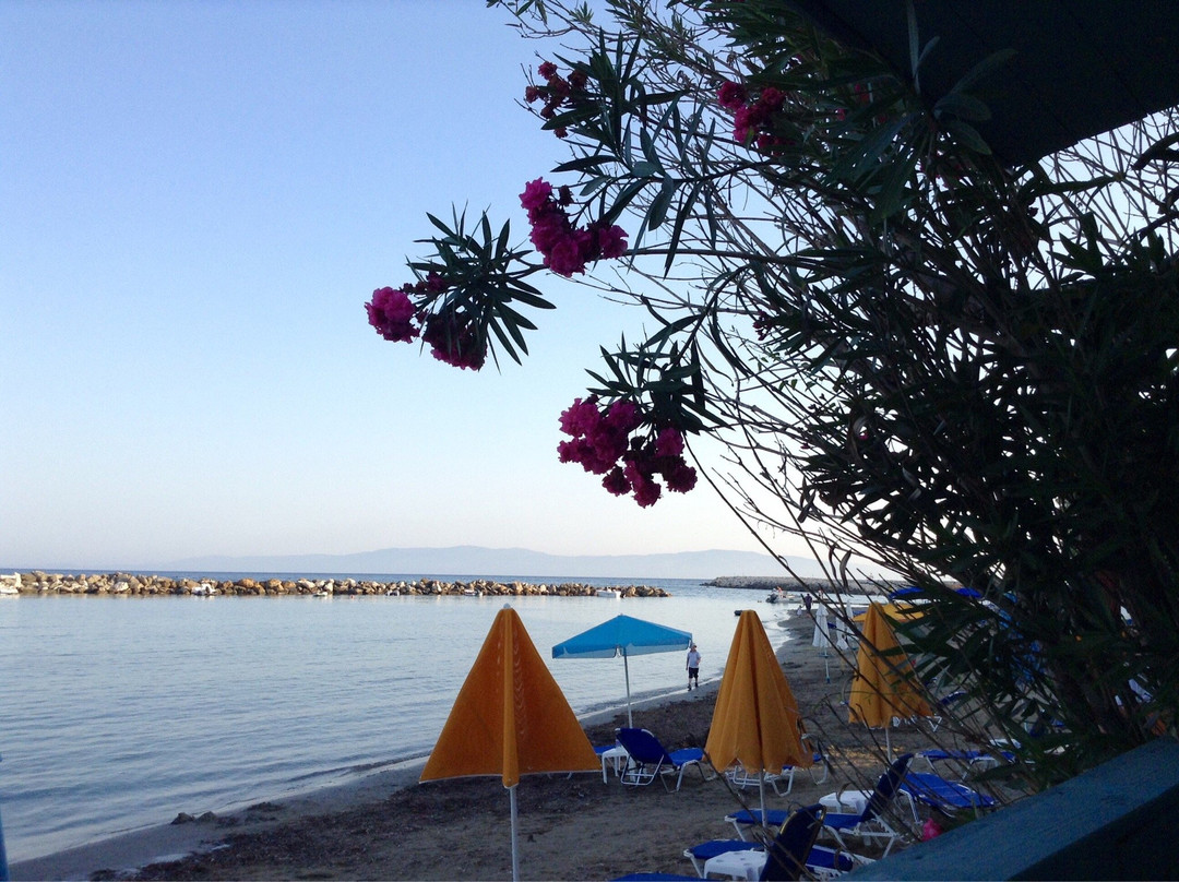 Katelios酒店住宿-Medusa Apartments