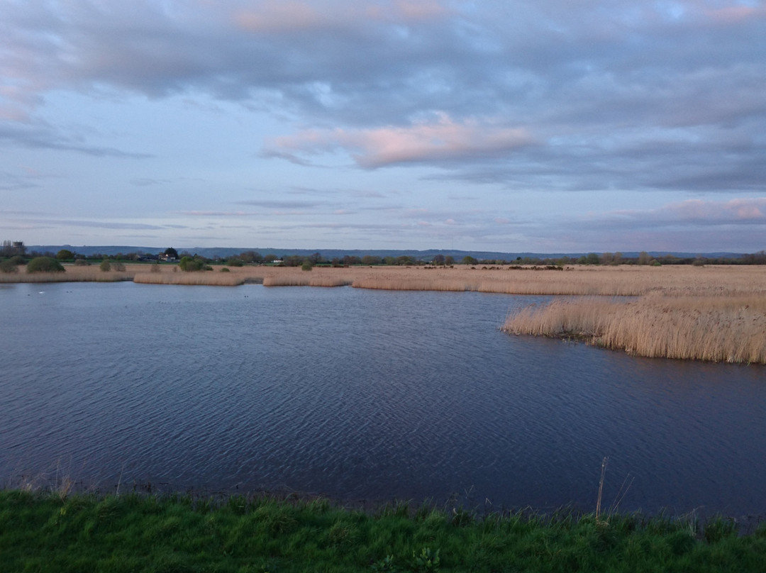 Avalon Marshes Centre景点图片