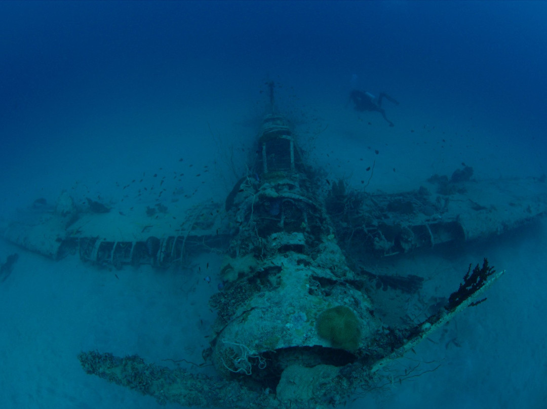 Scuba Ventures-Kavieng必去景点