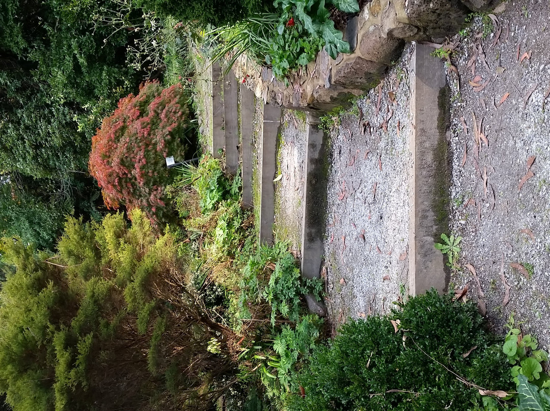 George Tindale Memorial Gardens-希尔布鲁克必去景点