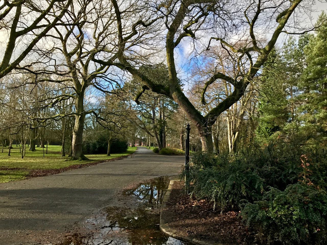 Ormeau Park景点图片