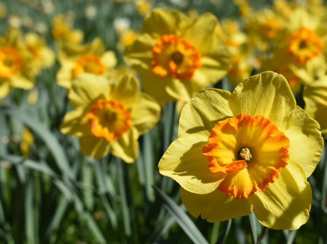 Fine Eye Gallery-Winters必去景点