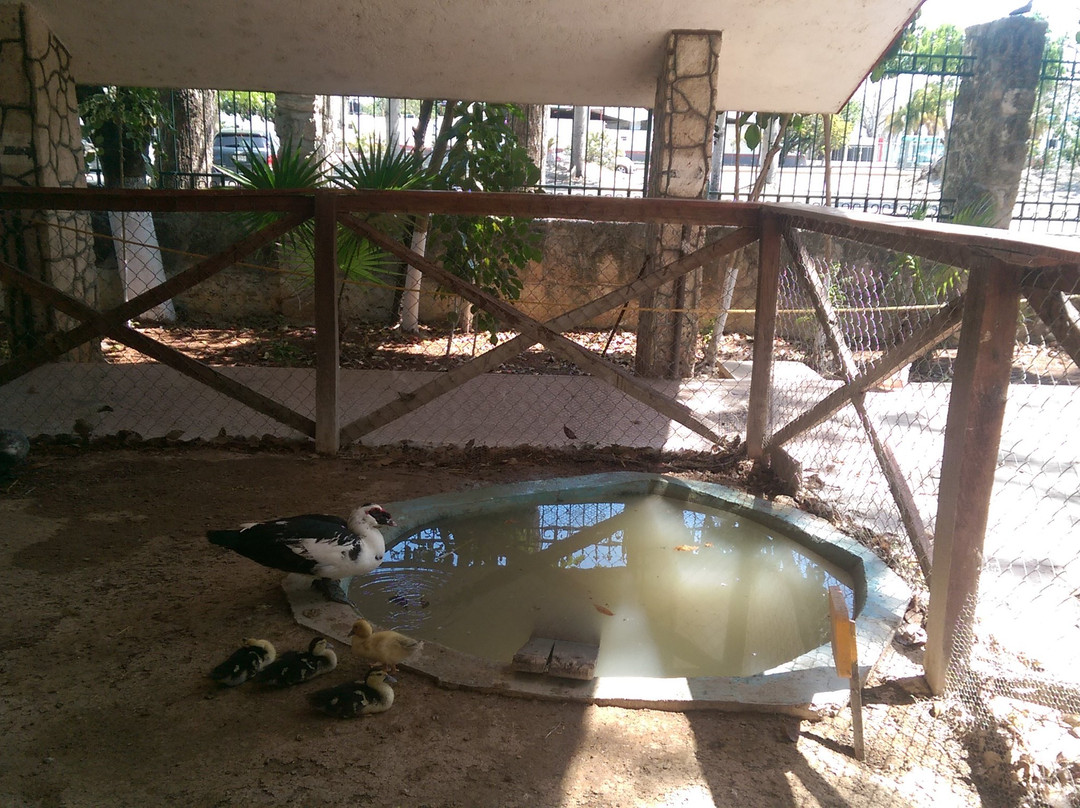 Zoologico Payo Obispo-切图马尔必去景点