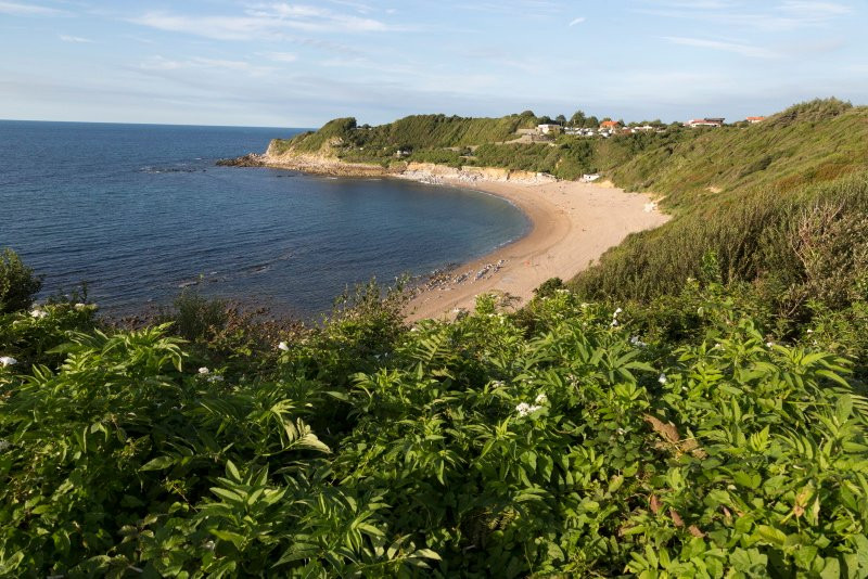 Plage de Lafitenia景点图片