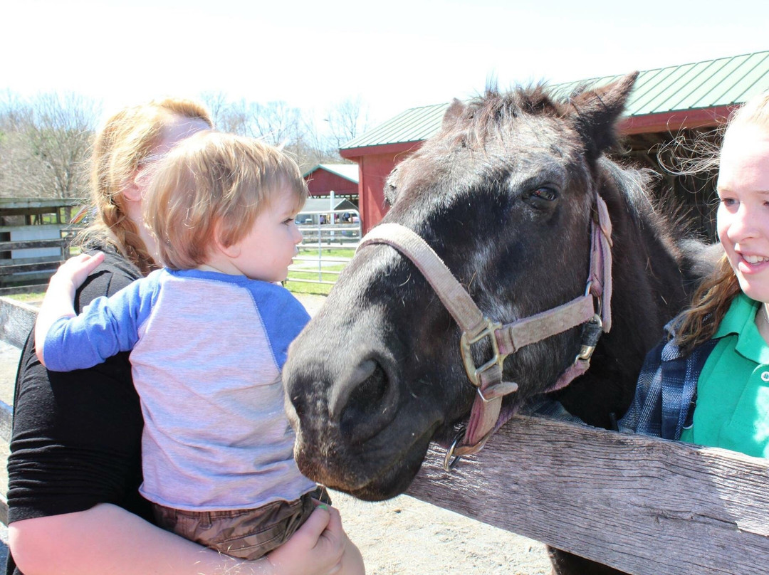 Clark's Elioak Farm-埃利科特城必去景点