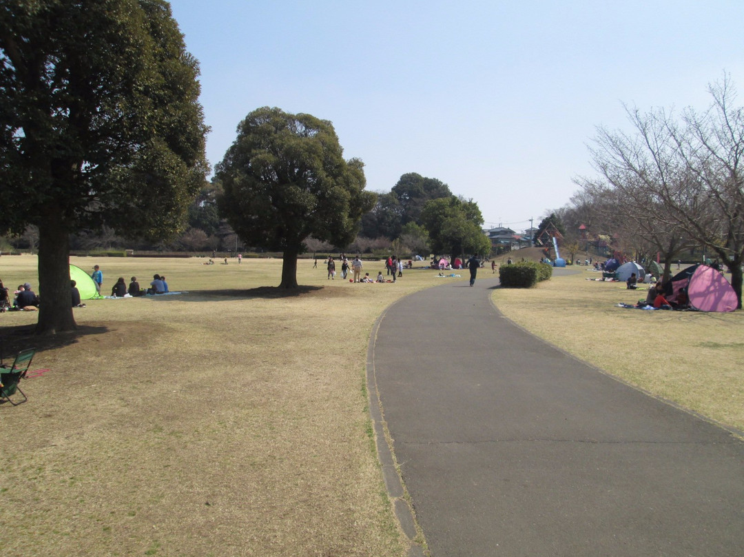 Oyama Comprehensive Park-小山市必去景点