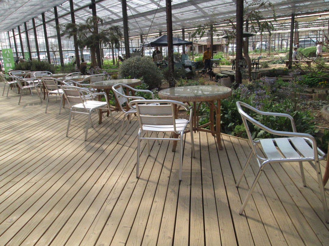 Otaki Herb Garden-大多喜町必去景点