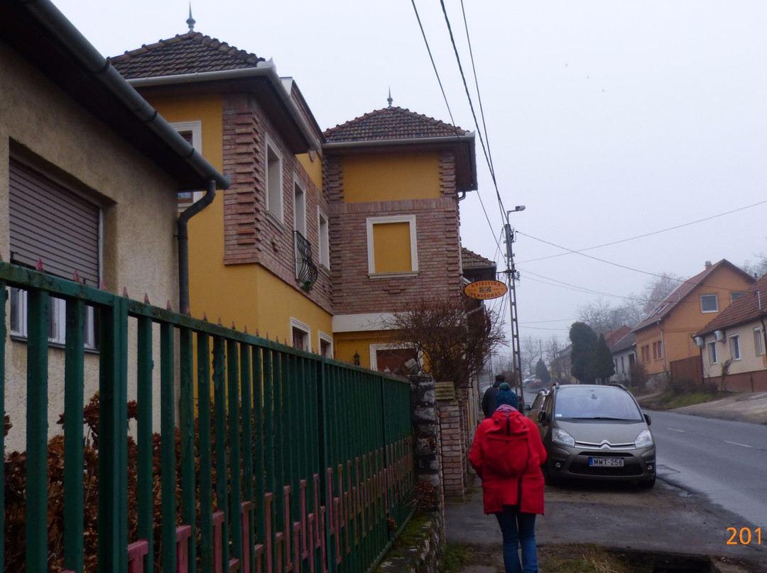 Krisztina Vendeghaz主图