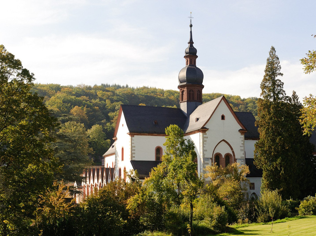Rheingau Tours-Eltville am Rhein必去景点