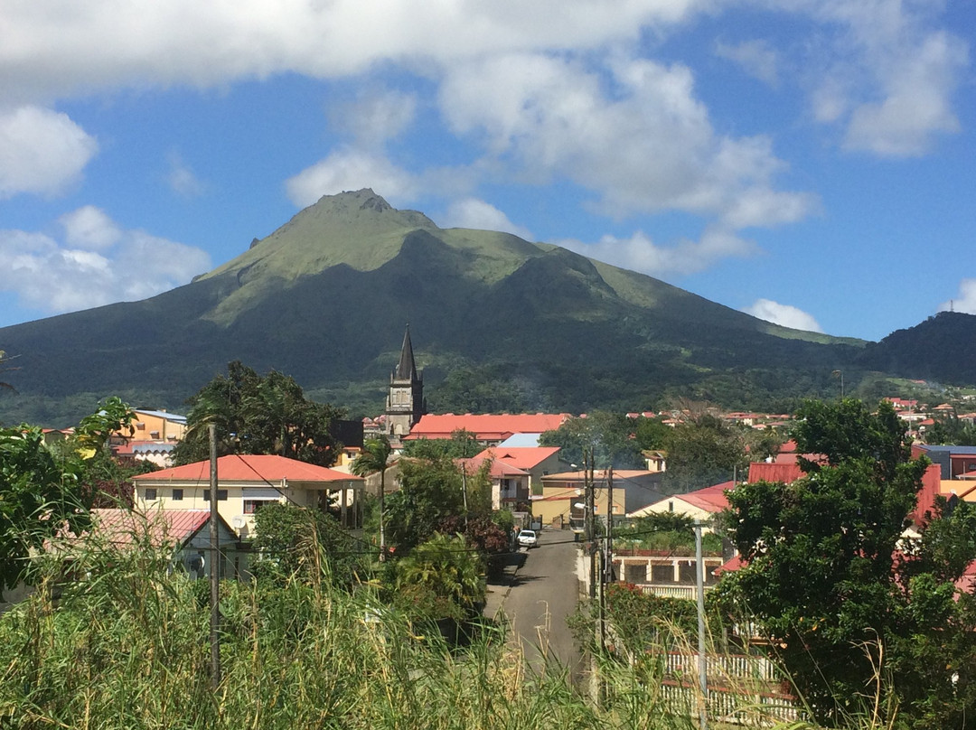 Norden Vincent's Martinique TOUR景点图片