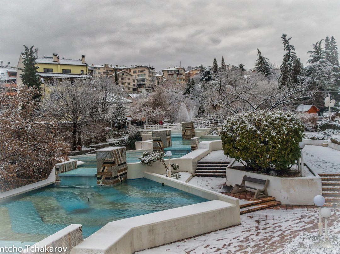 Polenitsa酒店住宿-Park Hotel Sandanski