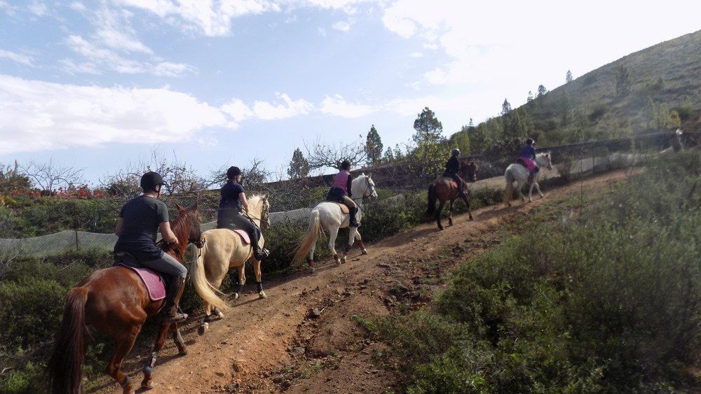 Horse Riding Tenerife-阿罗纳必去景点