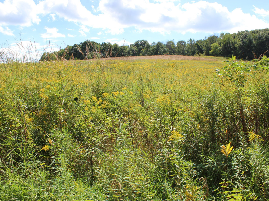Cherokee Marsh- North Unit-麦迪逊必去景点