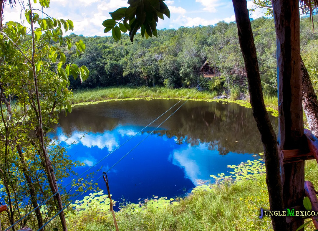 VIP Jungle Tours-阿范特拉斯港必去景点
