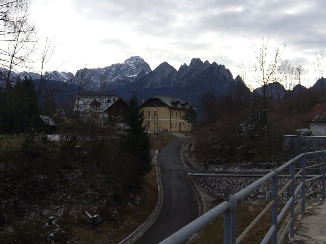 Foresta Millenaria di Tarvisio景点图片