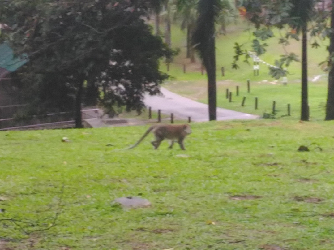 Mini Zoo Taman Teruntum景点图片