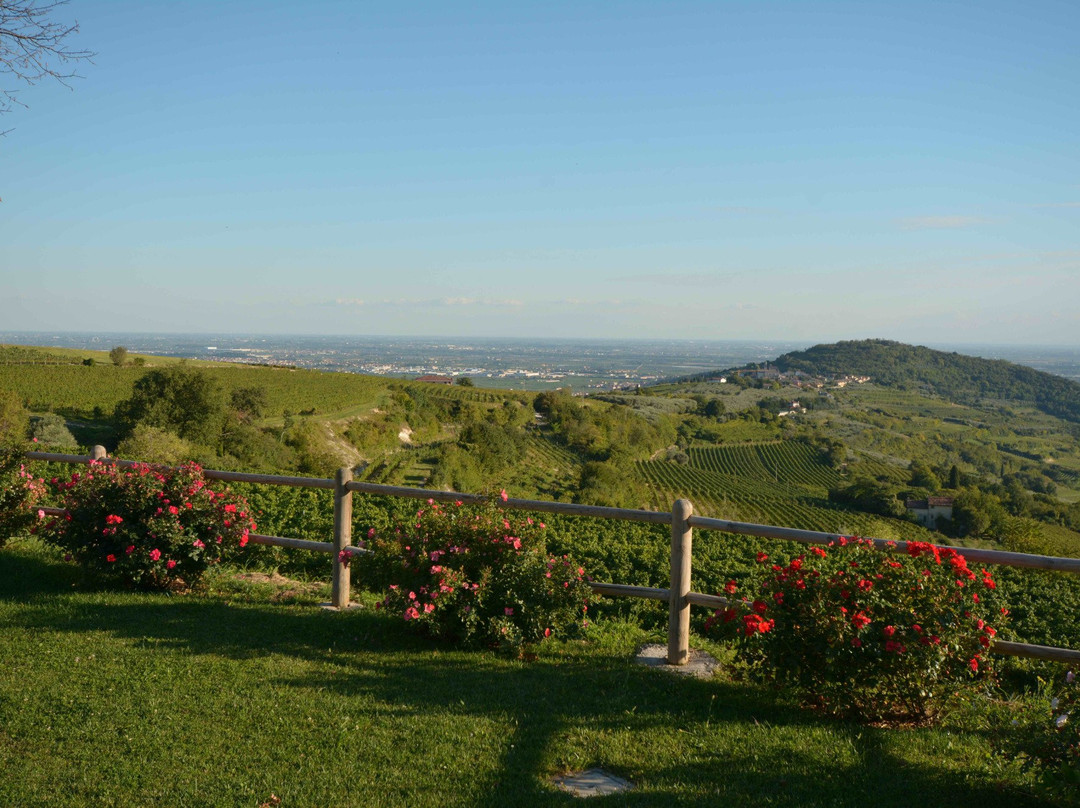 Tenuta Sant' Antonio景点图片