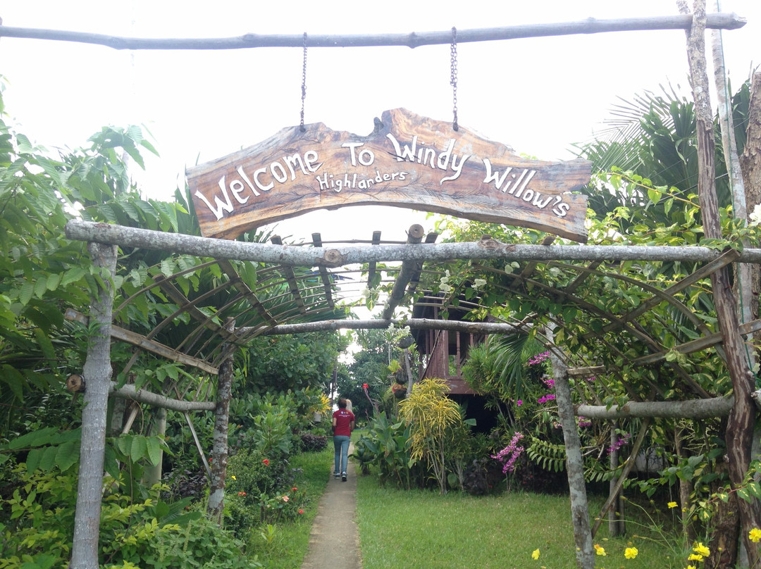 Windy Willow's主图