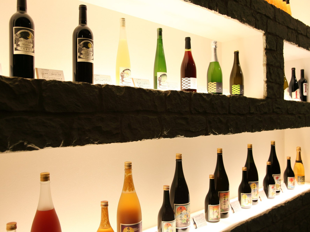 Kawachi Wine-羽曳野市必去景点