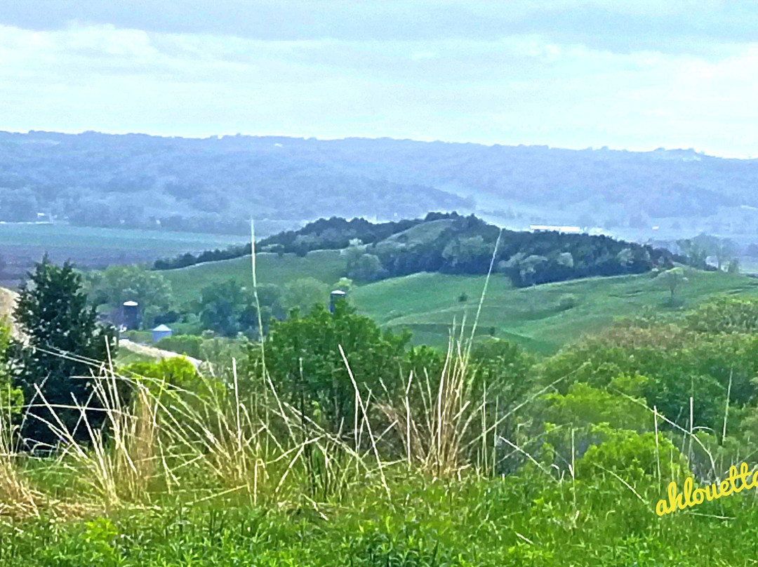 Hitchcock Nature Center-Honey Creek必去景点