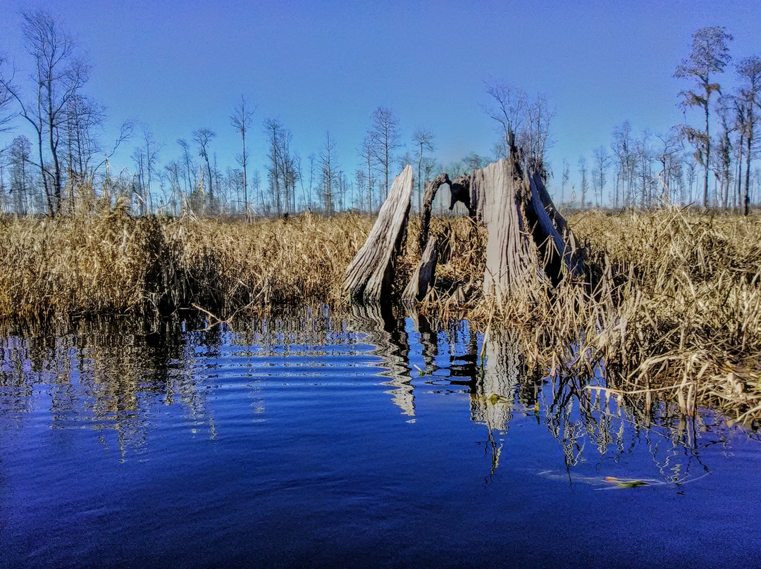 Griffis Fish Camp-Fargo必去景点