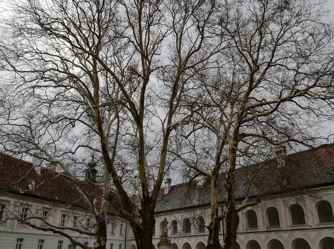 Heiligenkreuz Abbey景点图片