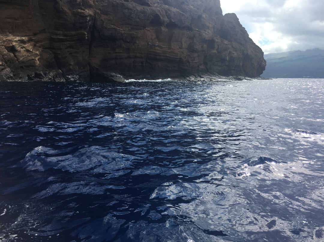 Maui Reef Adventures-毛伊岛必去景点