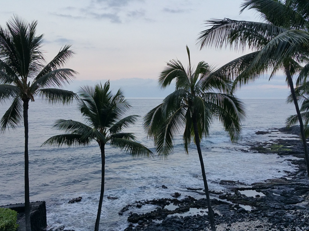 Snorkel Bob's Mauna Lani-威可洛亚必去景点