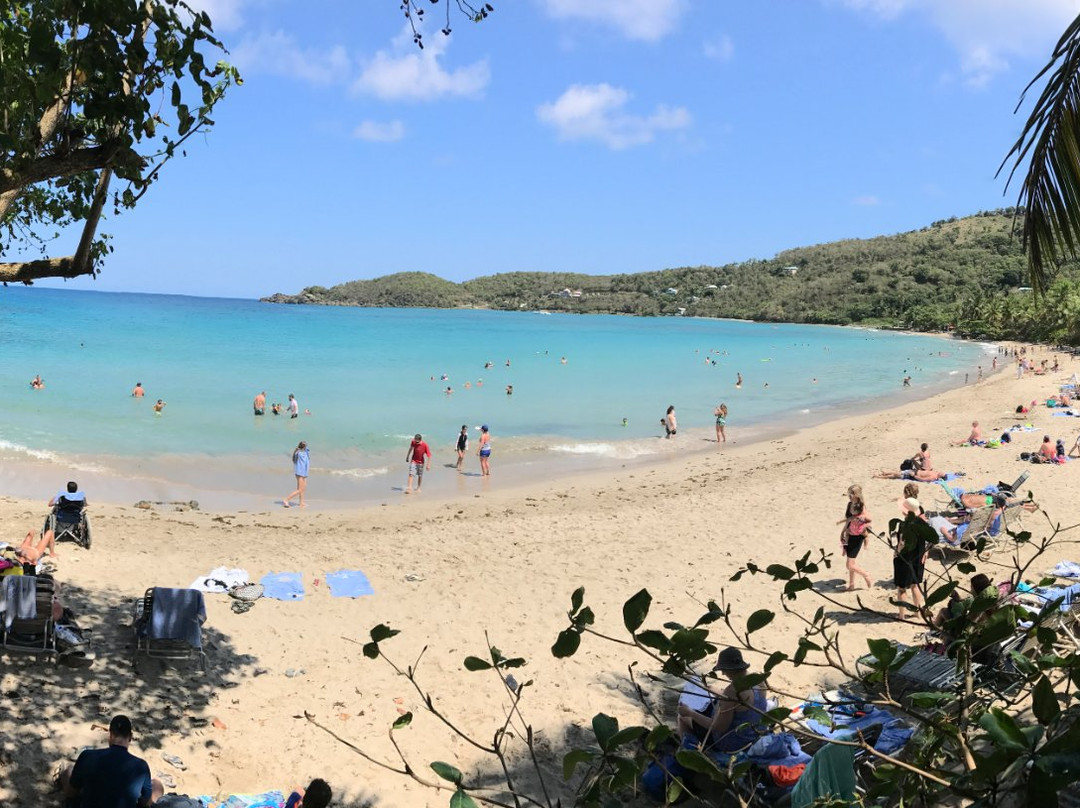 Brewers Bay-托土拉必去景点