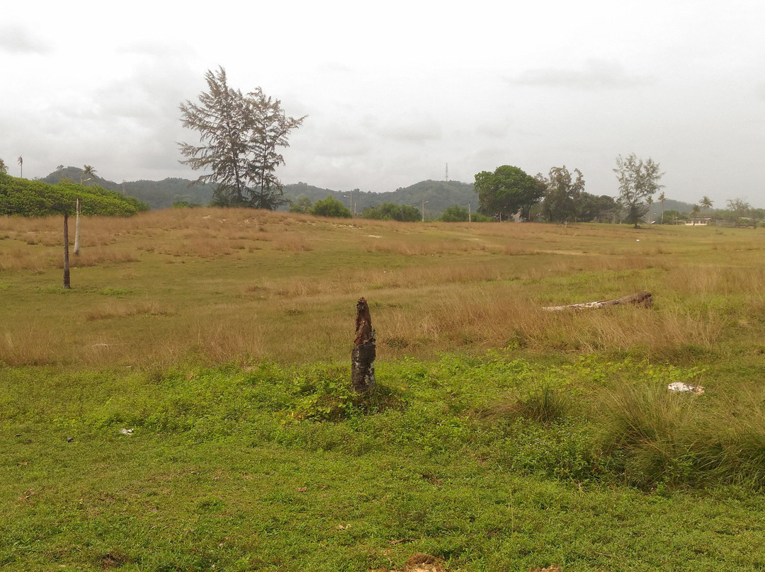 Pantai Teluk Bidara景点图片