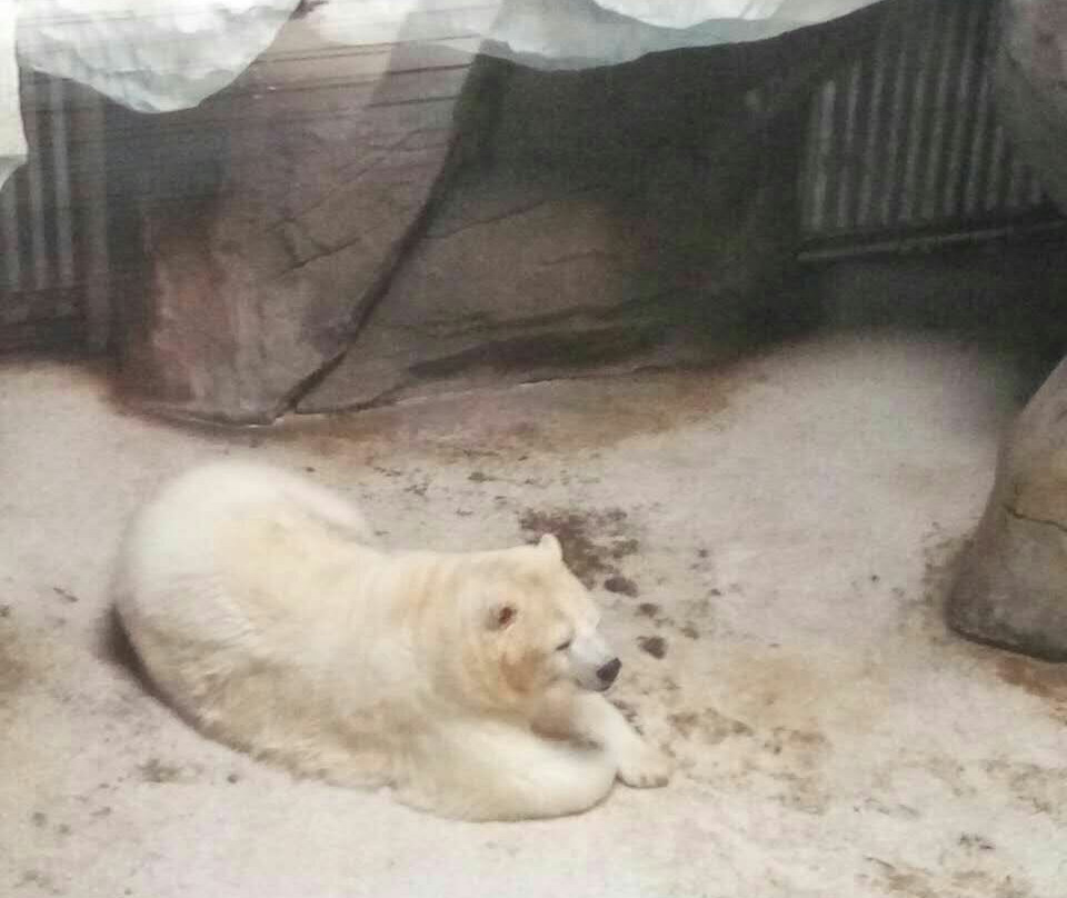 武汉极地海洋世界-武汉市必去景点