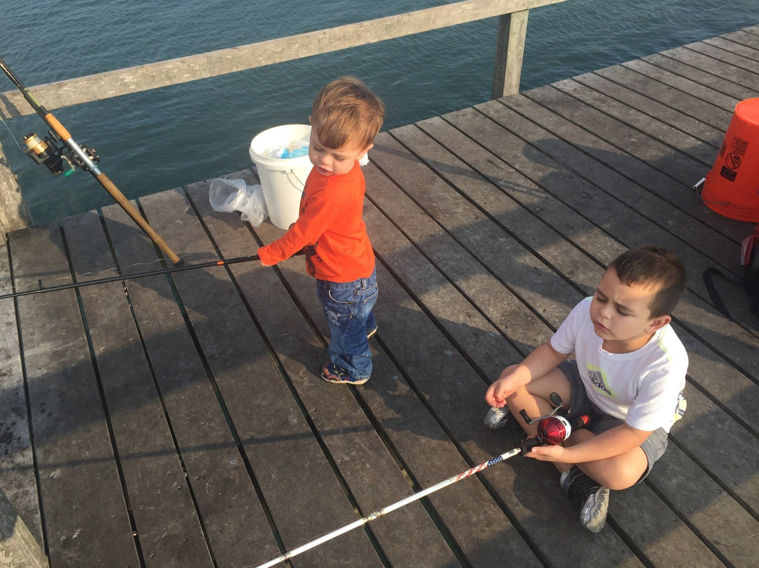 Bayside Marina-Bayside必去景点