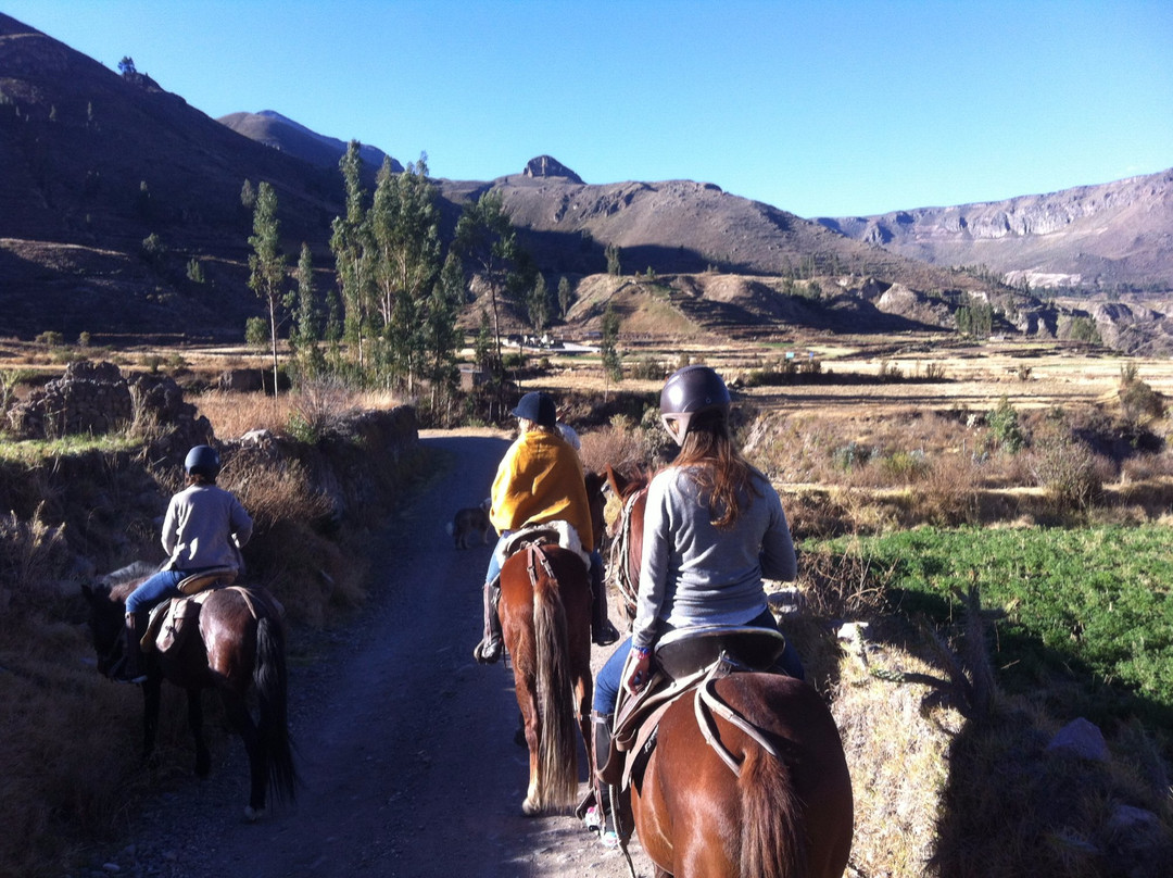 Colca Horse El Herraje-Yanque必去景点