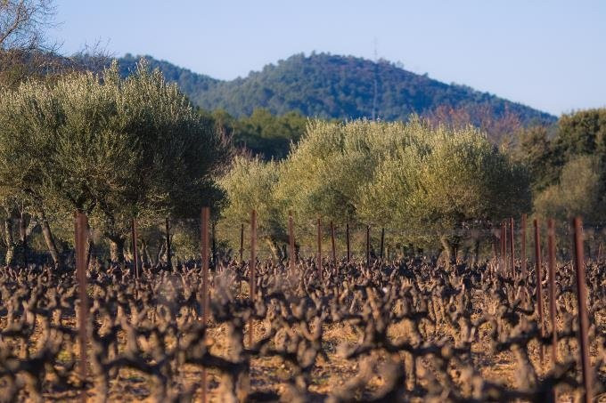 Domaine du Clos Gautier景点图片