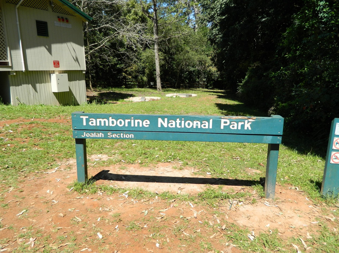 Tamborine National Park景点图片