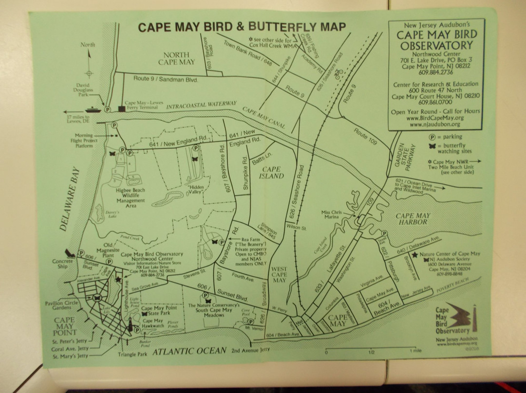 Cape May Bird Observatory-Cape May Point必去景点