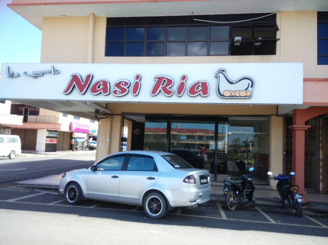 Nasi Ria