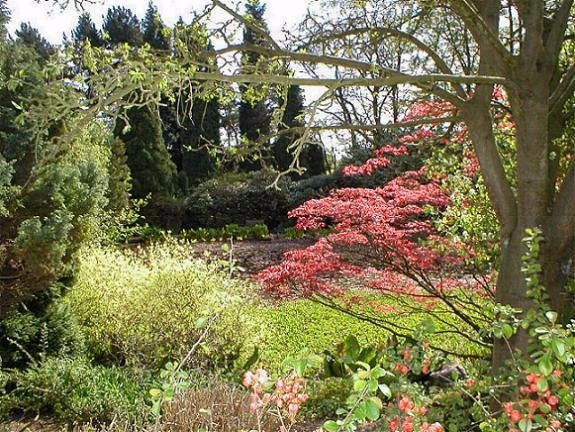 Dore旅游景点-Whirlow Brook Park