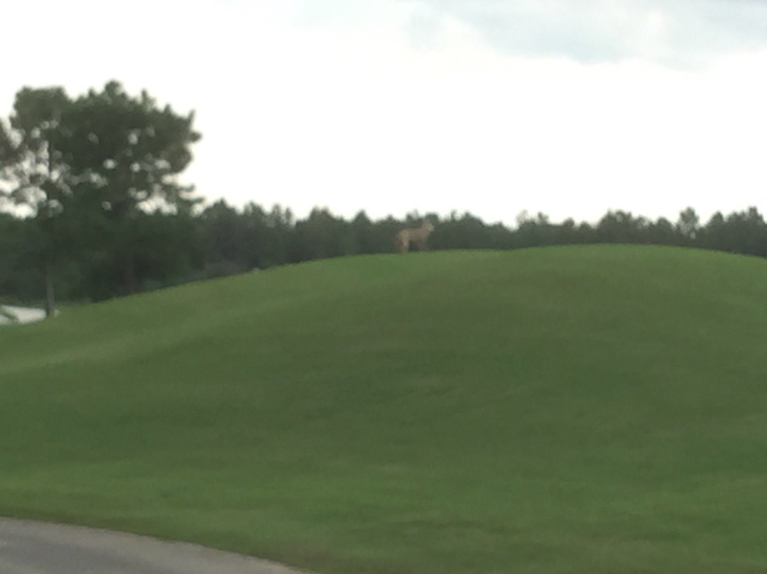 Golf Club at South Hampton-圣奥古斯丁必去景点
