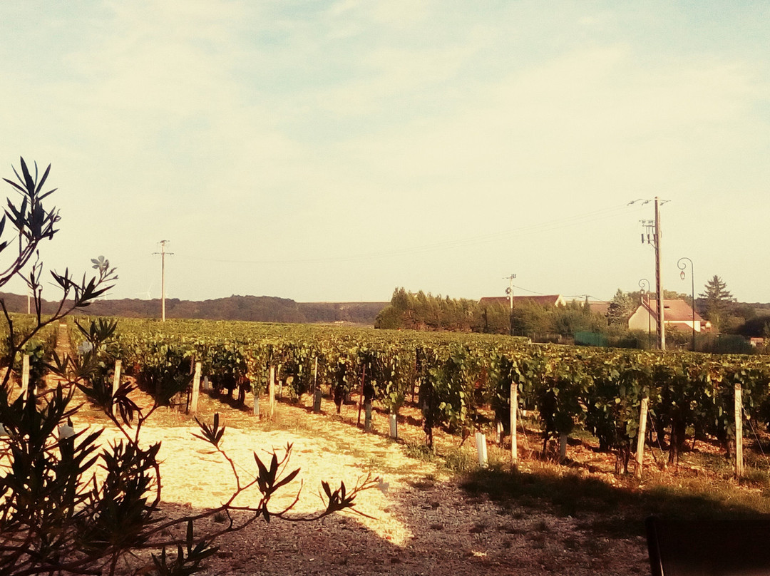 Domaine Céline & Frédéric Gueguen-Chablis必去景点