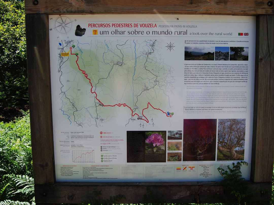 Reserva Botanica de Cambarinho景点图片
