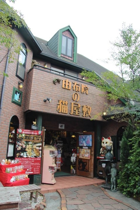 Yufuin no Nekoyashiki-由布市必去景点