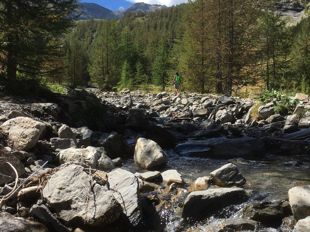 Vallon de Narreyroux景点图片