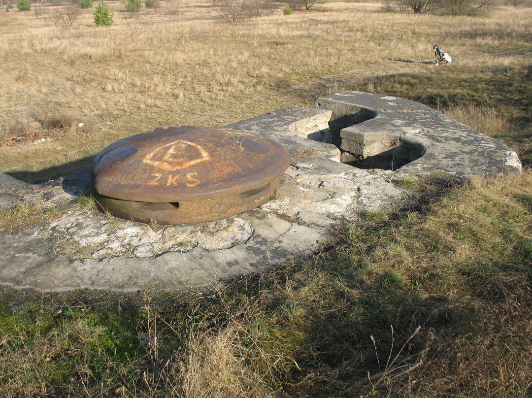 Fortress and Fortifications Museum景点图片