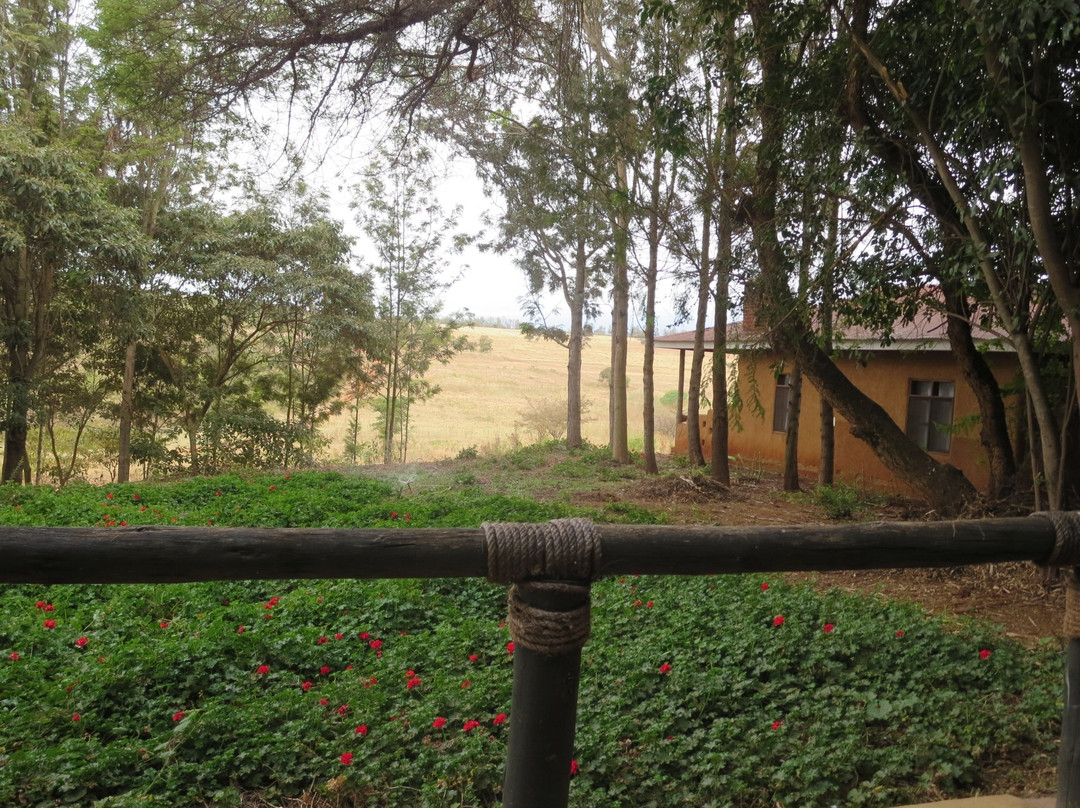 Mrefu Farm Lodge
