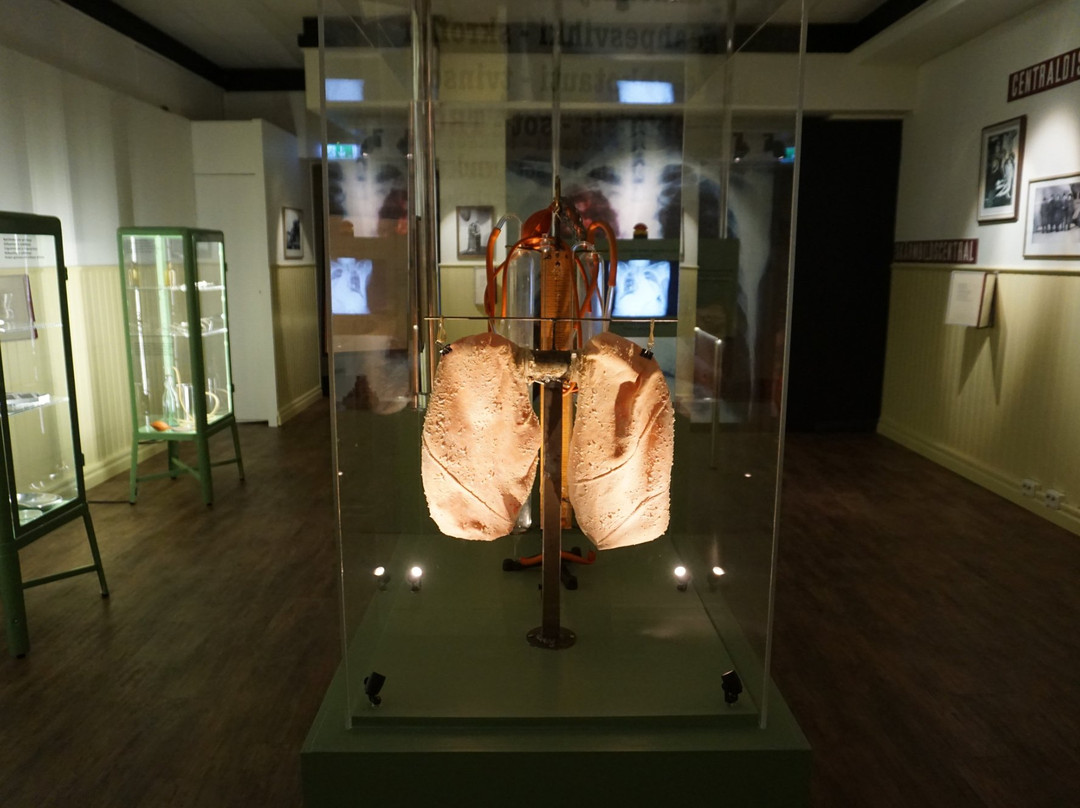 Norrbottens museum-Luleå必去景点