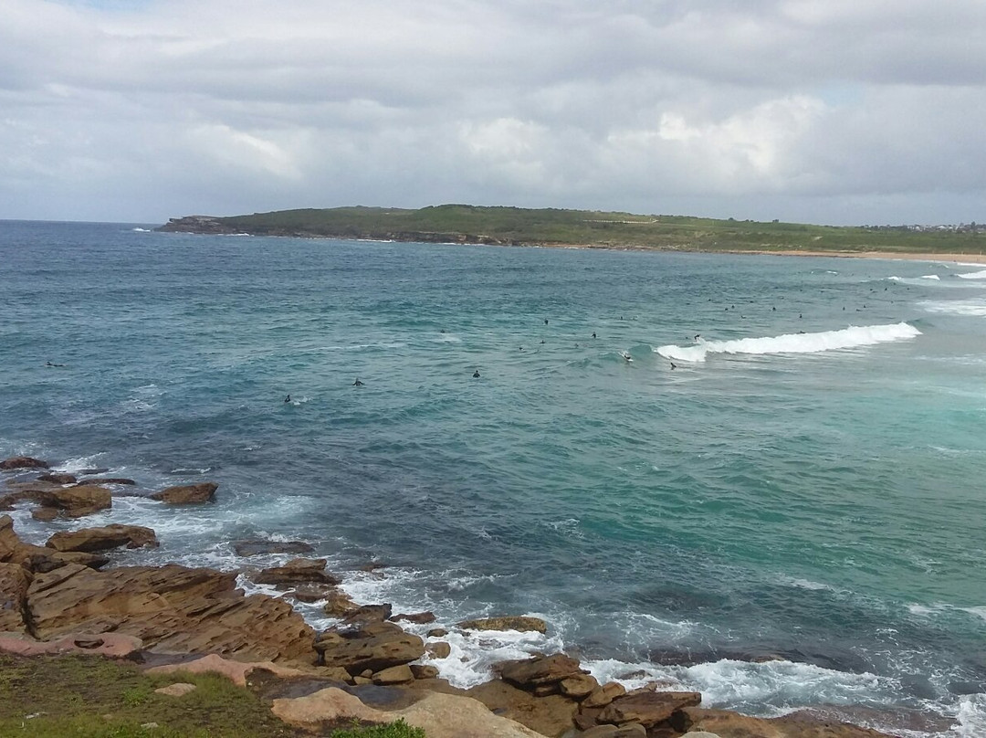 Maroubra旅游攻略图片